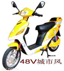 宝路仕48V城市风豪华电动车